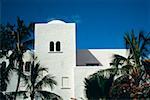 View of a white building amidst a foliage of palm trees, St. Maarten, Caribbean