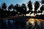 Silhouetted Palmen gegen den Himmel, Mayaguez Strand, Puerto Rico