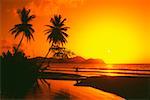 Un coucher de soleil spectaculaire, Tobago, Caraïbes