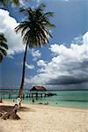 Vue sur une belle plage sur une journée ensoleillée, Pigeon Point, Tobago, Caraïbes