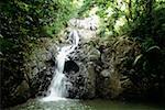 Vue panoramique d'une cascade au milieu de la verdure, Tobago, Caraïbes