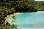 Vue grand angle sur une côte, St. John, US Virgin Islands