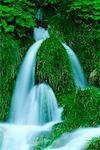 Ruisseaux s'écoulant sur l'herbe, Parc National des lacs de Plitvice, Croatie