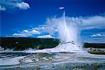 Geyser, Yellowstone National Park Wyoming, USA