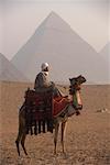 Fahrer auf Kamel, Pyramiden von Gizeh, Giza, Ägypten