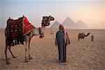 Hommes posant avec les chameaux dans le désert, les pyramides de Giza, Giza, Égypte