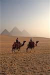 Riders on Camels, Giza Pyramids Giza, Egypt