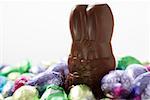 Chocolate rabbit and eggs