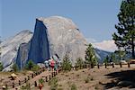 Half Dome, Parc National de Yosemite, Californie, USA