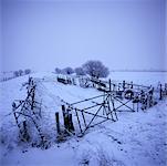 Fences in Snowy Field