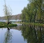 Row of Trees by Shoreline, Axel, Netherlands