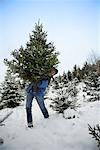 Frau trägt Weihnachtsbaum von Tree Farm