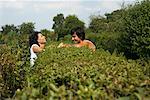 Couple Talking Over Hedge