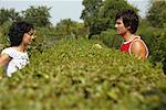 Couple Arguing Over Hedge