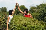 Couple Talking Over Hedge