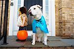 Little Boy Trick or Treating