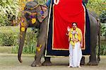 Priest standing beside an elephant