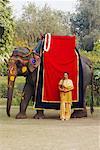 Young woman standing beside an elephant