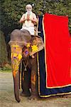 Portrait of a priest riding an elephant