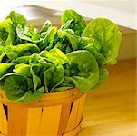 Basket of Fresh Spinach