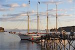 Goélette, Bay de Frenchman's, Bar Harbor, Maine, États-Unis