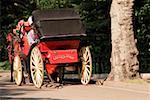 Horse cart on the road, USA