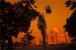 Trees in front of a monument, Taj Mahal, Agra, Uttar Pradesh, India