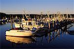 Boats moored at the dock, Cape Cod, Massachusetts, USA
