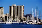 Boats moored at the harbor, Hawaii, USA