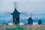 Windmills in a field, Oland, Sweden