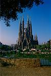 Cathedral in a city, Sagrada Familia, Barcelona, Catalonia, Spain