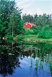 Cottage in a forest, Smaland, Sweden