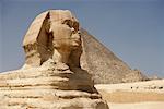 Sphinx and Pyramids at Giza, Egypt