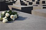 White Roses at The Memorial to the Murdered Jews of Europe, Berlin, Germany