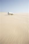 Filing Cabinet in Desert Sand