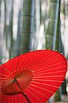 Close-up of Japanese Umbrella