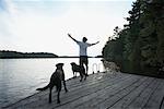 Mann am Dock mit Hunden, Three-Mile-See, Muskoka, Ontario, Kanada