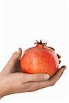 Hands Holding Pomegranate