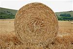 Hay bale