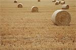 Bales of hay