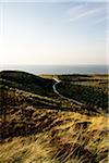 Landscape, Sylt, Germany