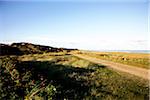 Road, Sylt, Germany