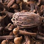 Close-up of a Black Cardamom with cloves