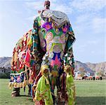 Flachwinkelansicht eines Reifen Mannes Reiten ein Elefant, Elephant Festival, Jaipur, Rajasthan, Indien