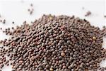 High angle view of a heap of mustard seeds