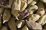 High angle view of Cardamoms