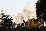 Façade d'un mausolée, Taj Mahal, Agra, Uttar Pradesh, Inde