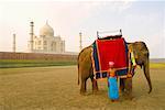 Junger Mann stand vor einem Elefanten in der Nähe ein Mausoleum, Taj Mahal, Agra, Uttar Pradesh, Indien