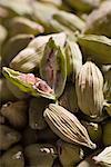 Gros plan des Cardamomes