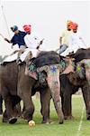 Zwei Menschen spielen Polo, Elephant Festival, Jaipur, Rajasthan, Indien